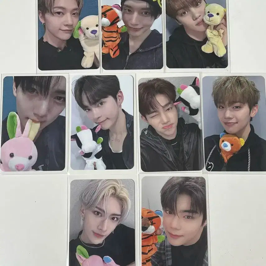 제베원 제로베이스원 인형 에버라인 부산 럭드 포카 미공포 세트