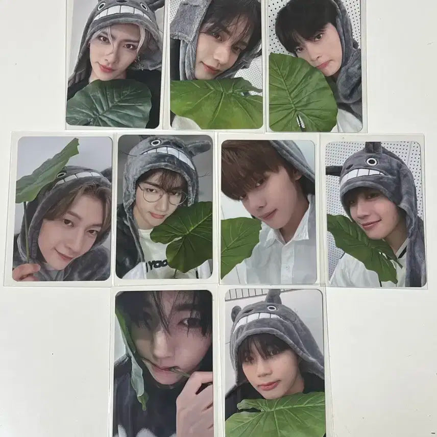 제베원 제로베이스원 에버라인 토토로 럭드 포카 미공포 세트