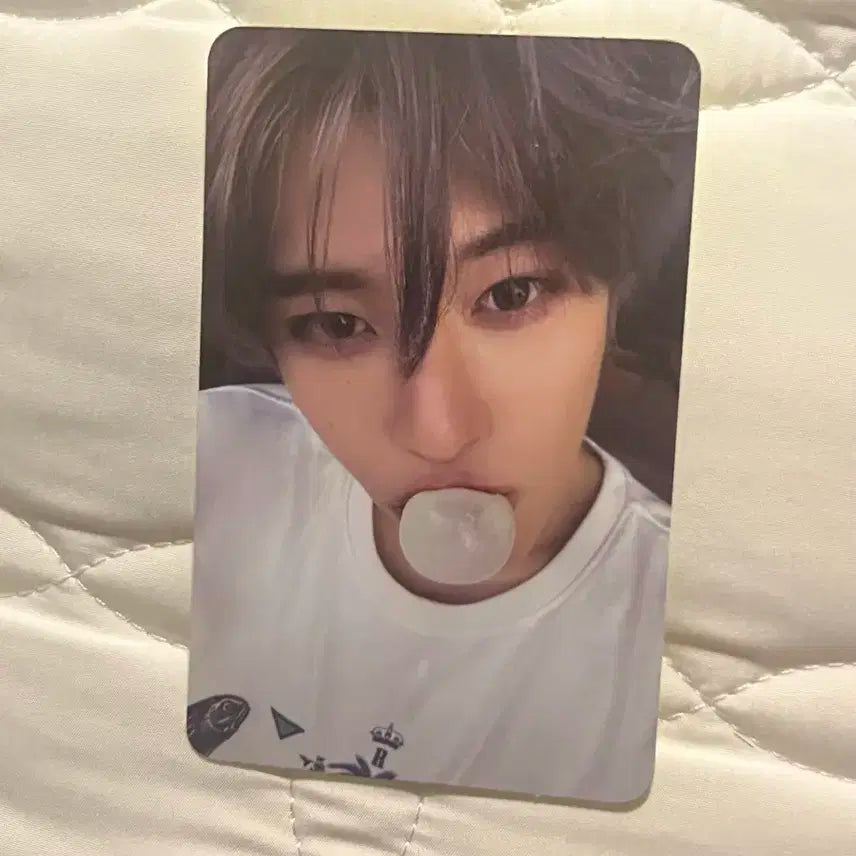 엔시티위시 nct wish 시온 팝츄 포카