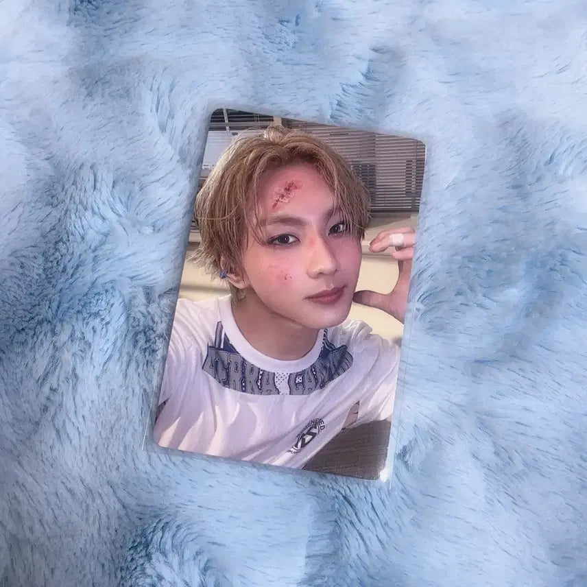 엔하이픈 데이드림 이즈위 정원 포카 양도 판매합니다