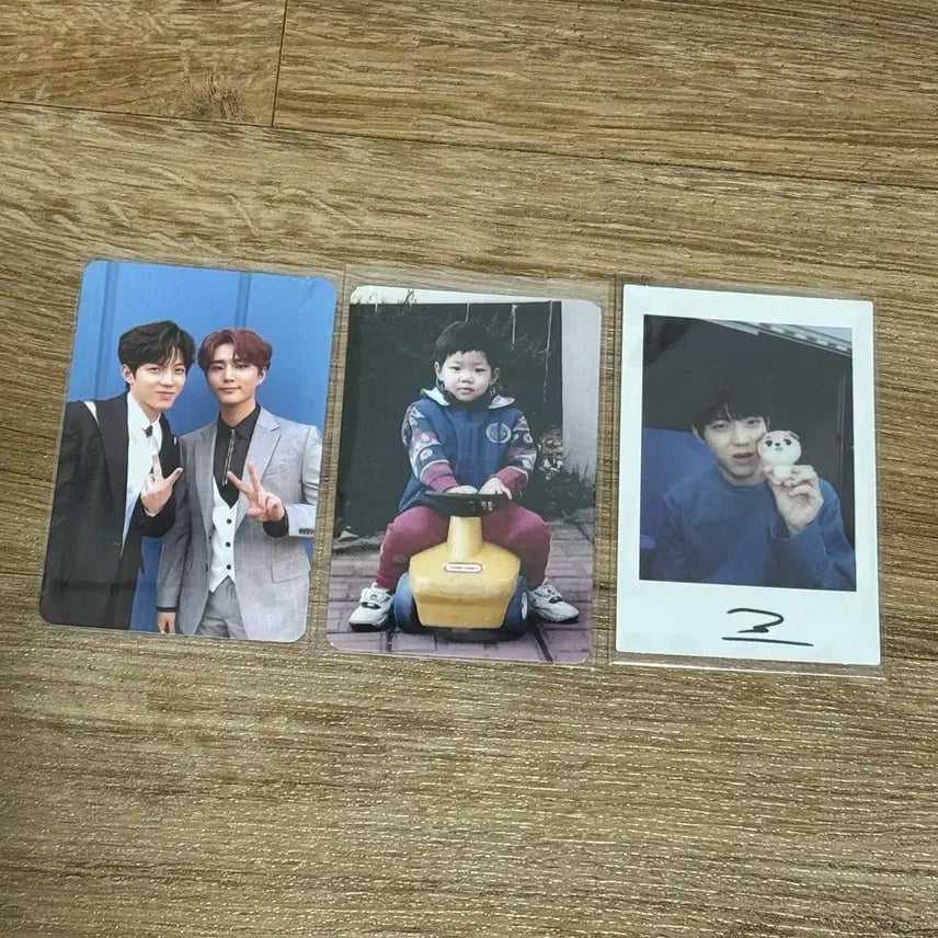 데이식스 도운 윤도운 시즌그리팅 폴라 엔트로피 리멤버어스 행날 아기포카