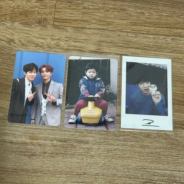 데이식스 도운 윤도운 시즌그리팅 폴라 엔트로피 리멤버어스 행날 아기포카