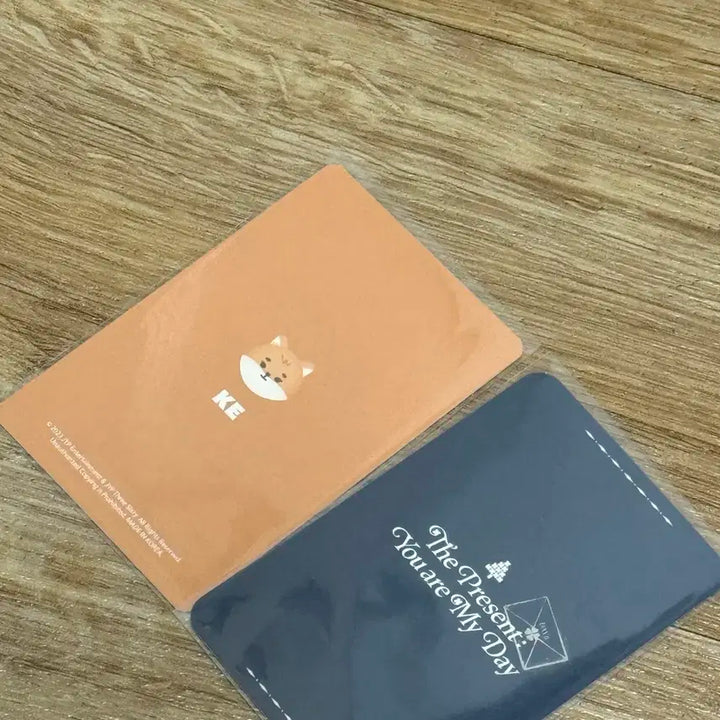 데이식스 영케이 영현 클콘 쁘띠데니멀즈 키링 특전 포카