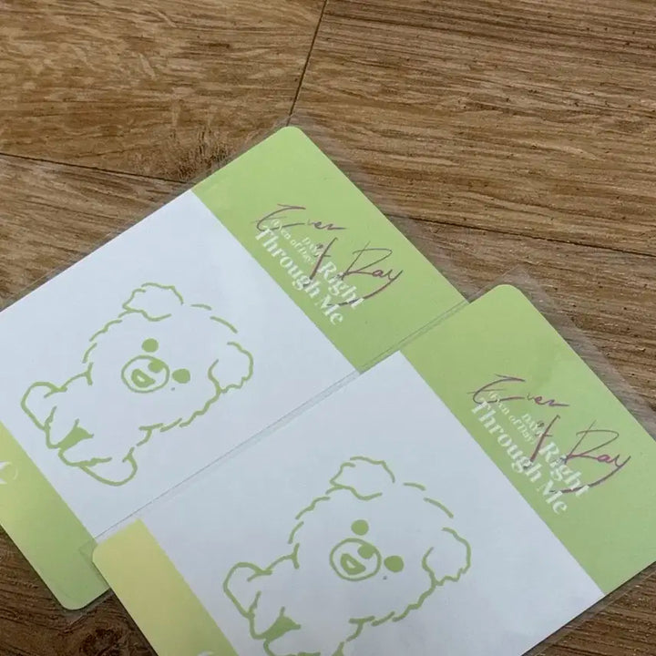 데이식스 도운 윤도운 이오데 콜렉트북 포카