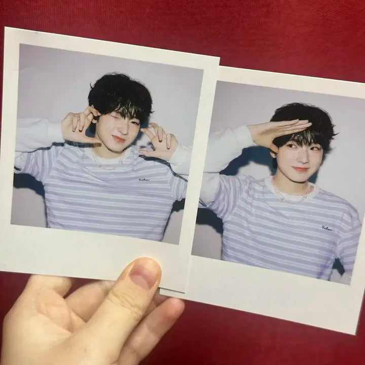 엔시티위시 사쿠야 사진들