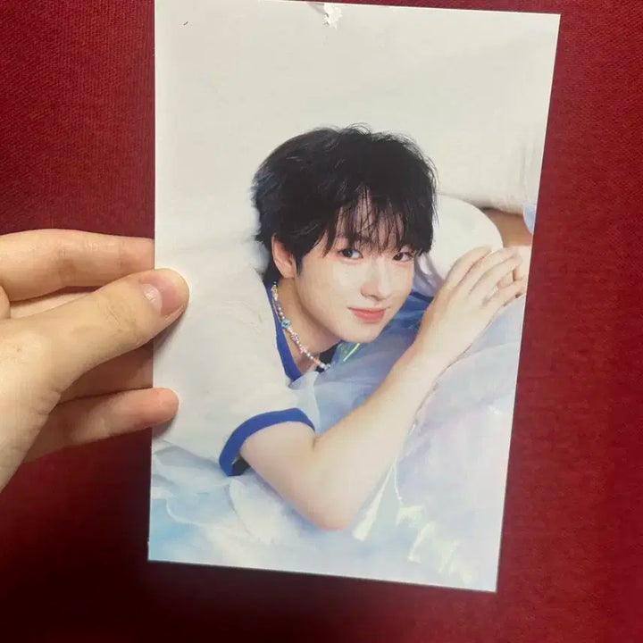 엔시티위시 사쿠야 사진들