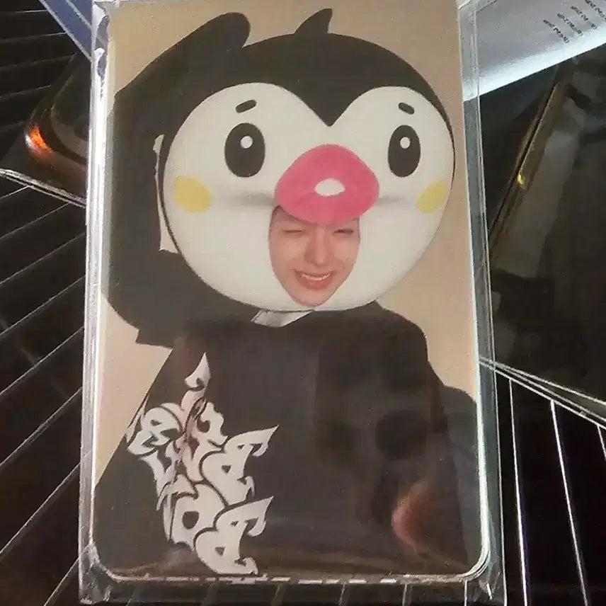 넥스지 음중 미팬 공방포카 세트 beatboxer nexz