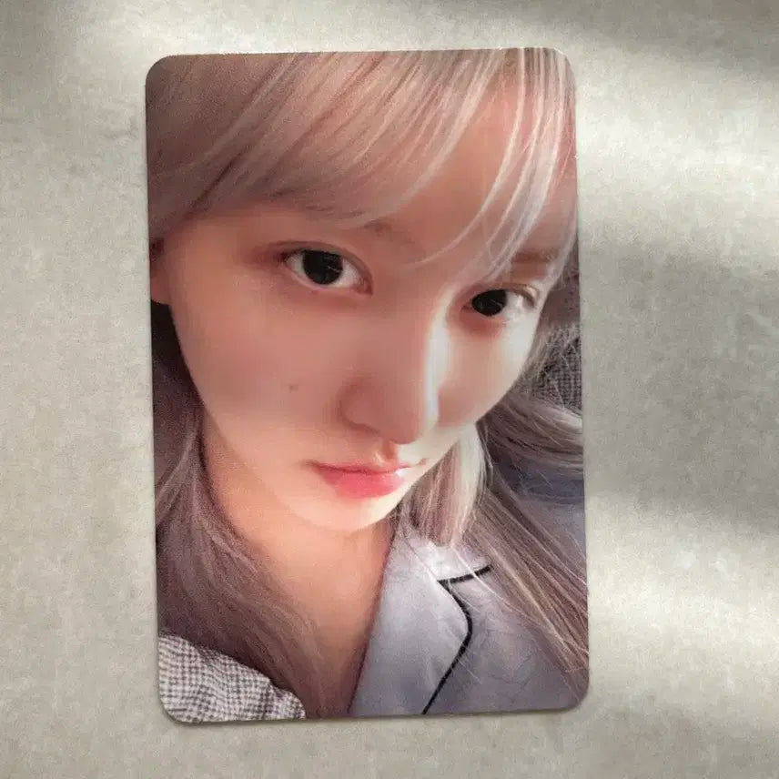 다이브존 가을 포카