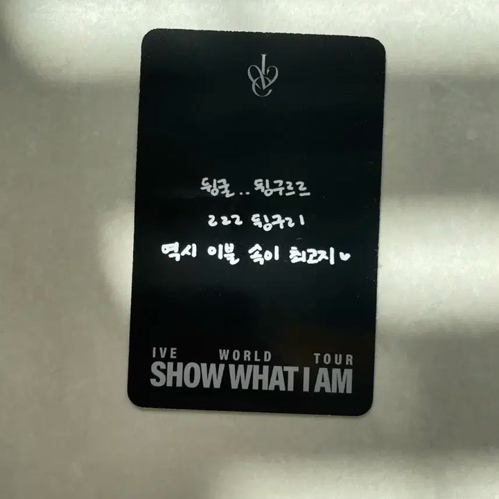 다이브존 가을 포카