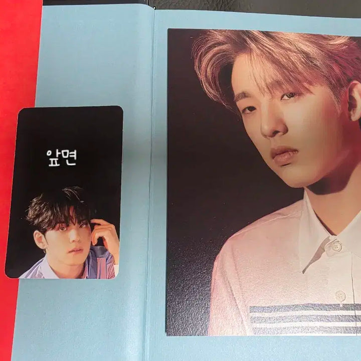 데이식스 데몬 단순개봉