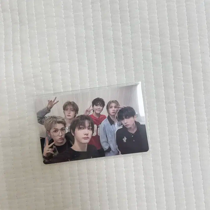 보넥도 노장르 위버스 단체 포카