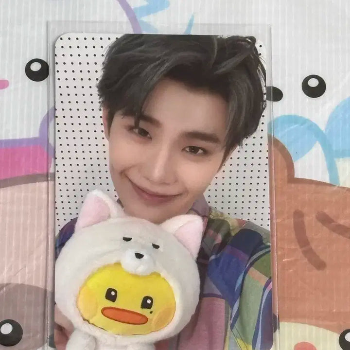 제베원 제로니 김태래 태니니 5만원 포카