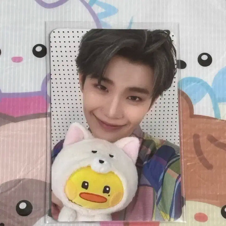 제베원 제로니 김태래 태니니 5만원 포카