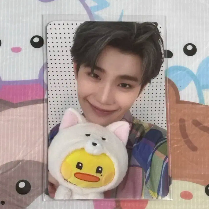 제베원 제로니 김태래 태니니 5만원 포카