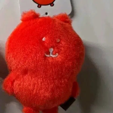 성수 농담곰 팝업 컬러곰