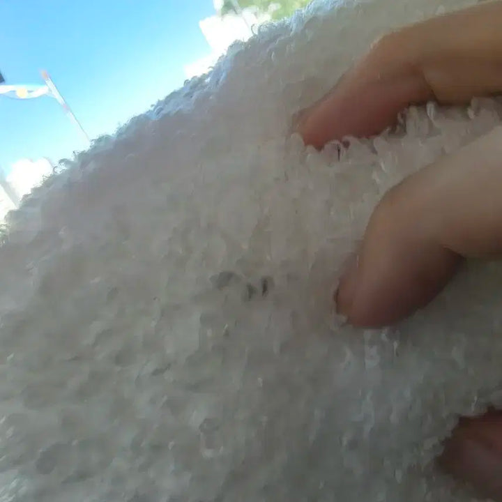 BT21 알제이 RJ 스텐딩돌 미디엄