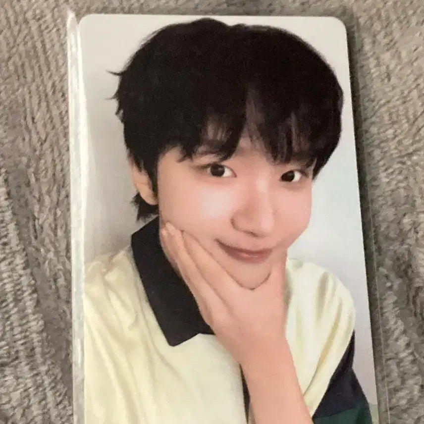 보넥도 운학 19.99럭드 아궁빵운학 (이제 가격 안 내립니다