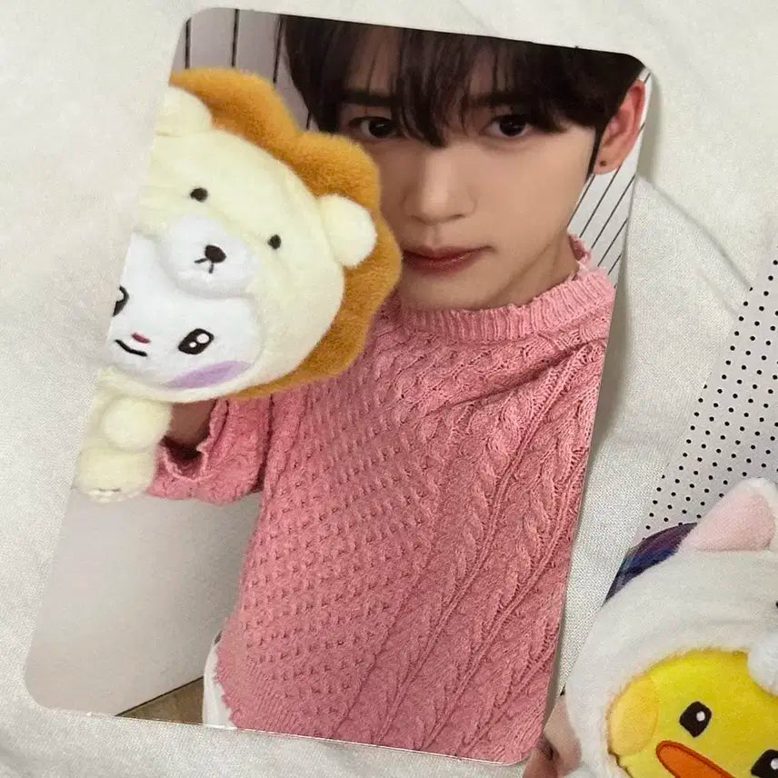 제베원 제로니 팝업 5만웜 특전 한유진 포카 유니니 양도