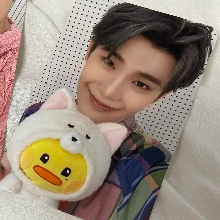 제베원 제로니 팝업 5만원 특전 김태래 포카 태니니 양도