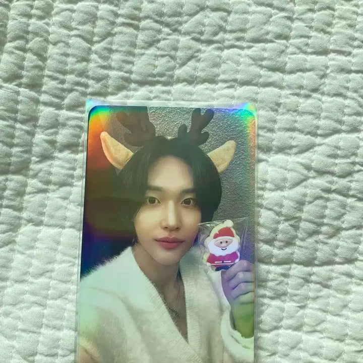 라이즈 원빈 크리스마스 포카 디오라마