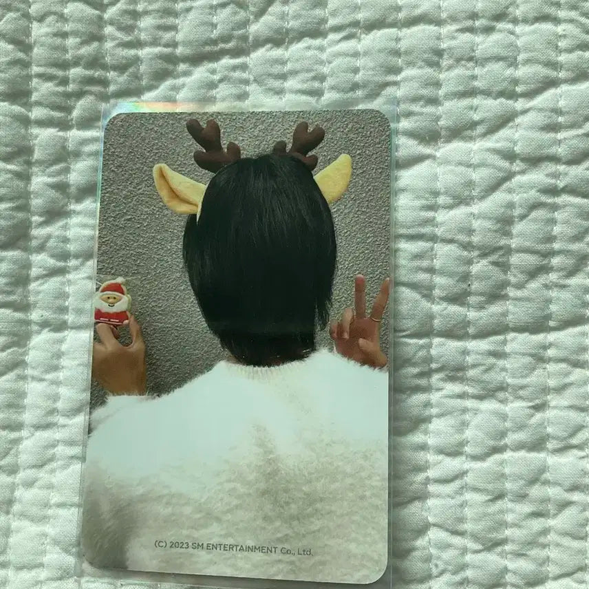 라이즈 원빈 크리스마스 포카 디오라마