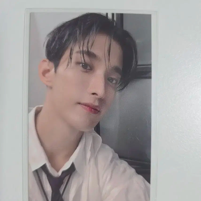 세븐틴 도겸 베스트앨범 디어버전 유니버셜 포카 양도