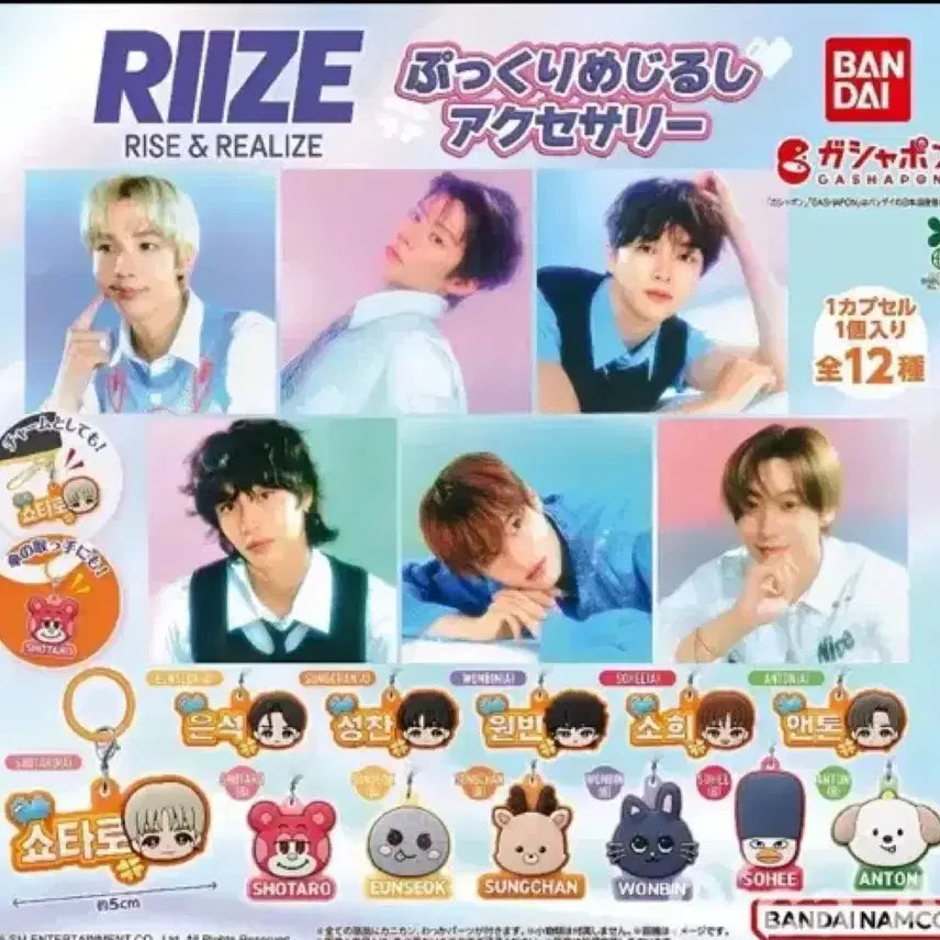 라이즈 메지루시 가챠 일괄판매