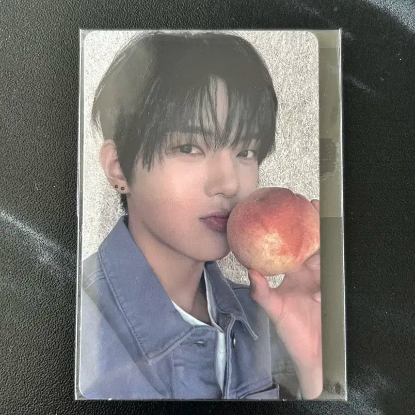 전이정 보플 전시회 포카 양도합니다