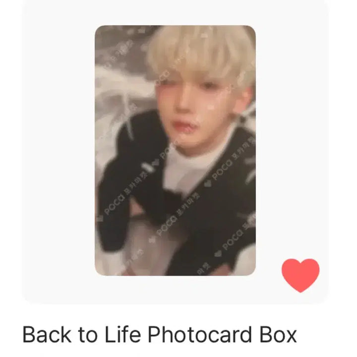 앤팀 죠 백투라이프 위버스 버전 포카 일괄 판매