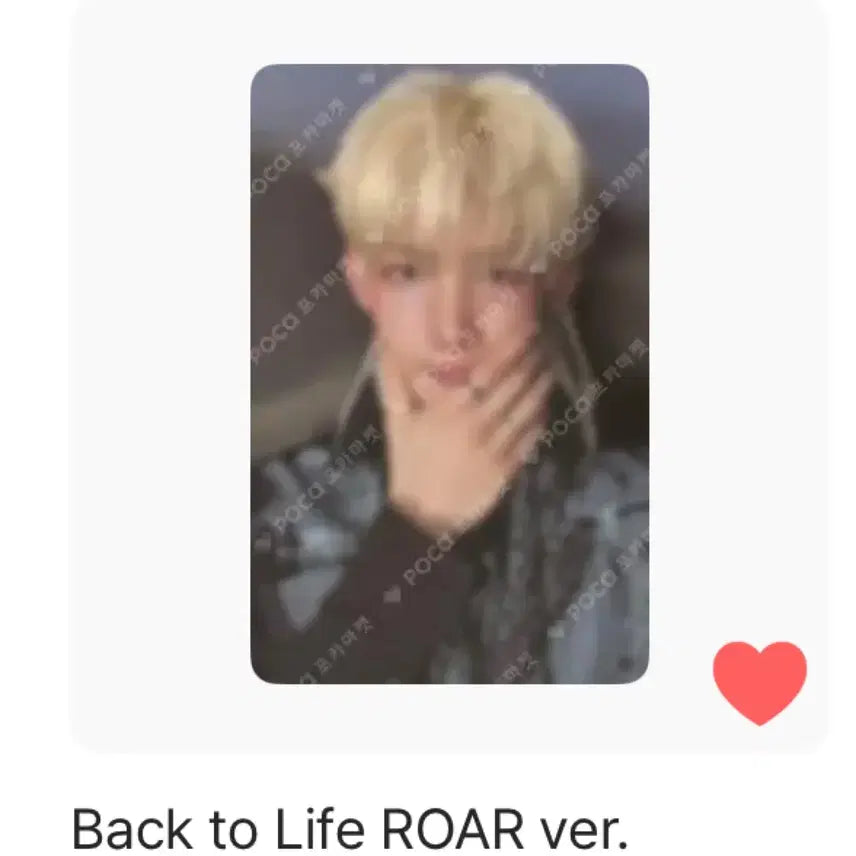 앤팀 죠 백투라이프 위버스 버전 포카 일괄 판매