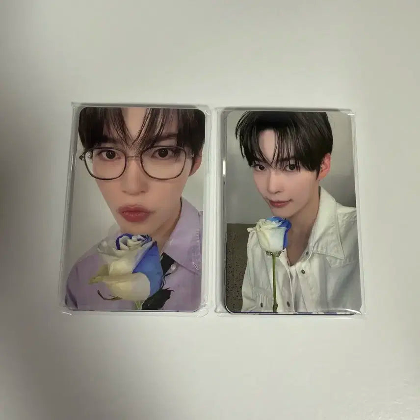 제로베이스원 3기 키트 포카 세트 양도