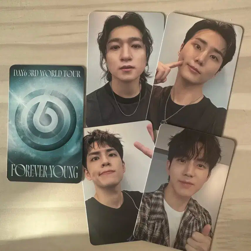 데이식스 포레버영 영종도 중콘 포카