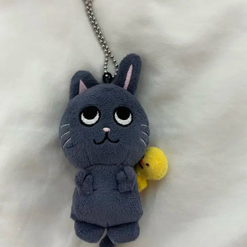 라이즈 원빈 토냥덕 10cm 키링