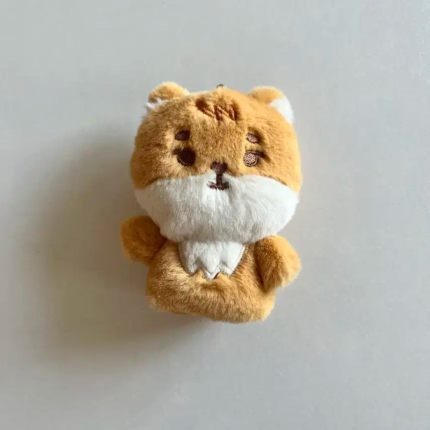 데이식스 데니멀즈 쁘띠멀즈 손가락인형 핑거퍼펫 케