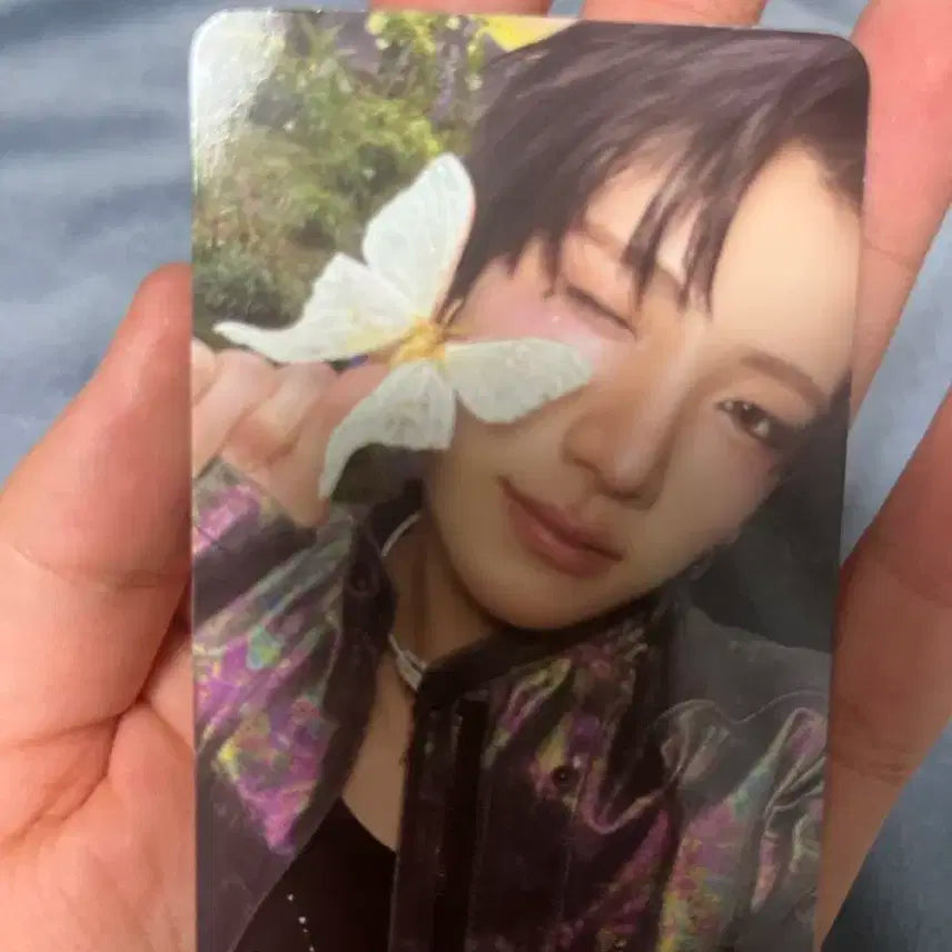 앤팀 유마 포카