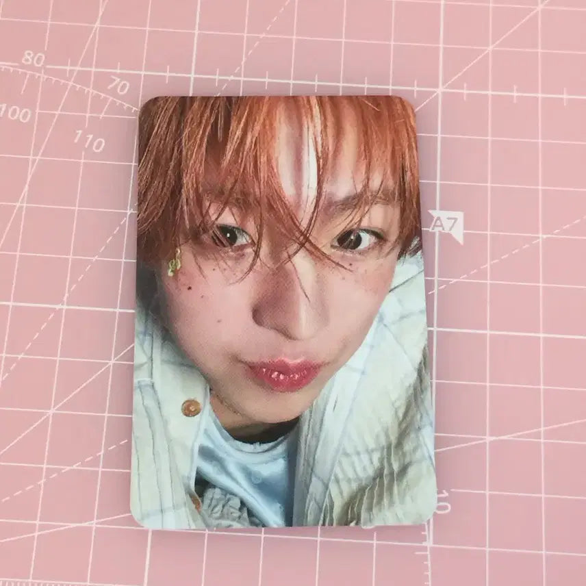 송버드 일본반 유우시