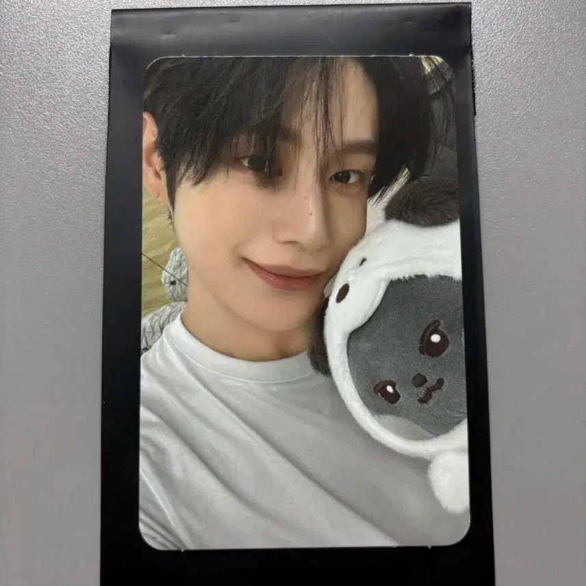 제로니 팝업 특전 포카 양도 김지웅 Zeroni