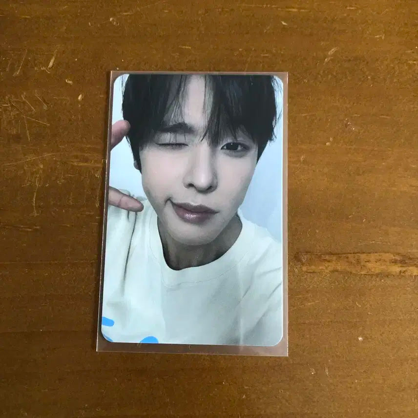 엔시티 위시 엔위시 리쿠 스테디 비트로드 럭드 포카 양도 판매