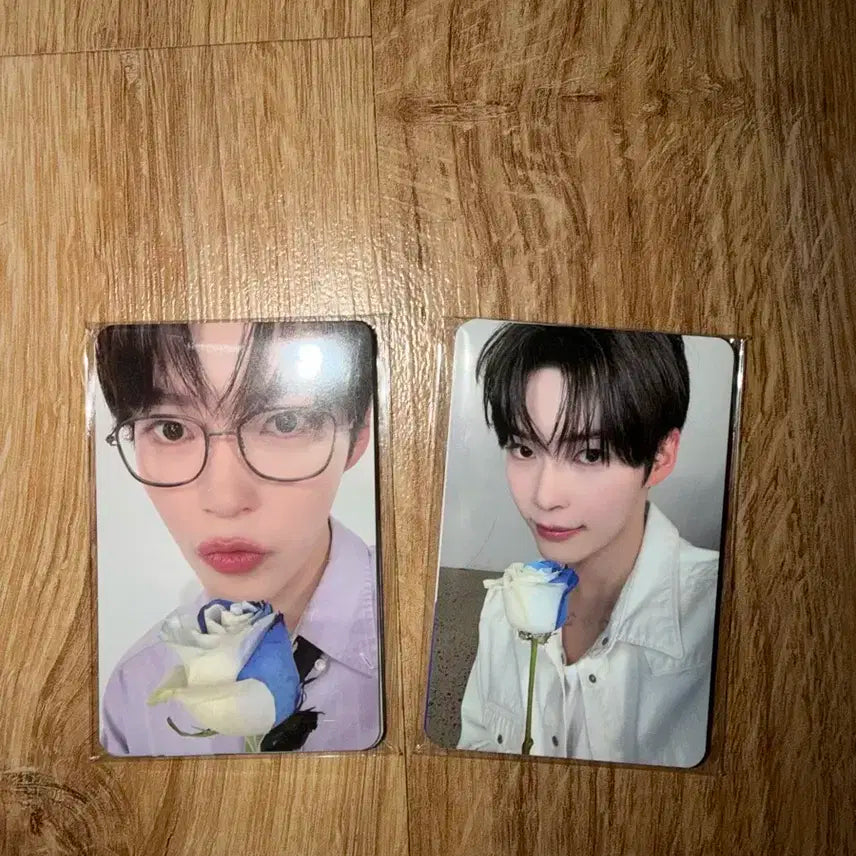 제베원 3기 팬클럽 포카 세트 판매