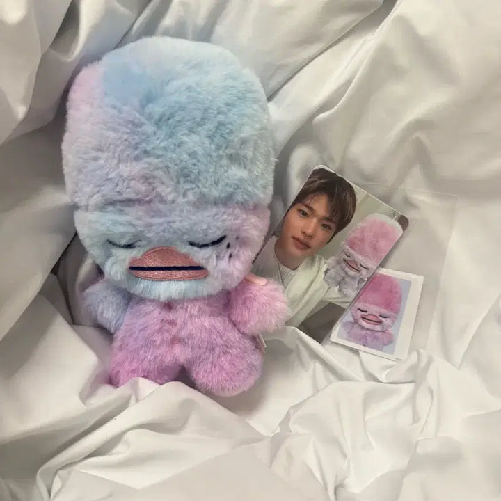 라이즈 보이스키링 소희풀셋