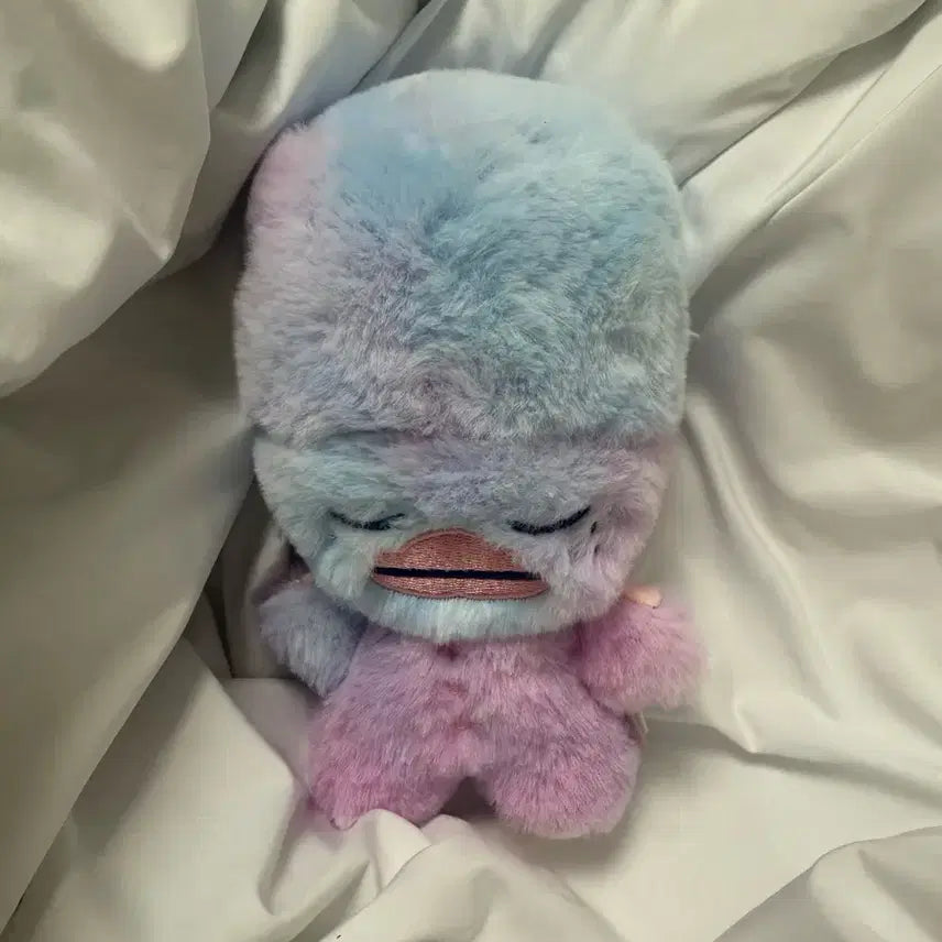 라이즈 보이스키링 소희풀셋