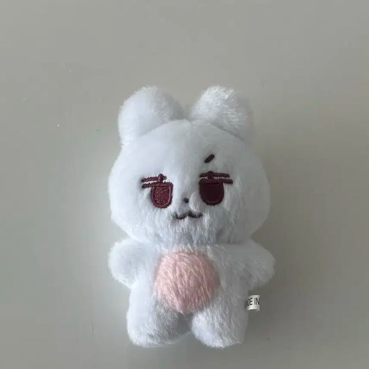 스트레이키즈 스키즈 솔티노 비공굿 인형 양도