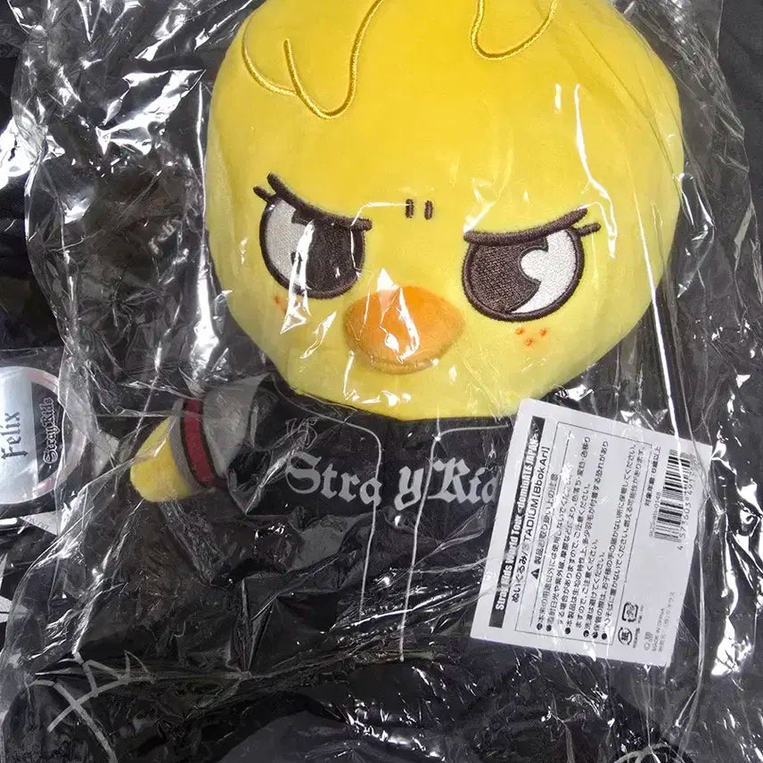 스트레이키즈 스키주 일본MD 필릭스 뽁아리