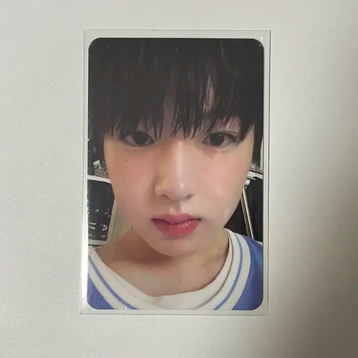 사쿠야 팝팝 초회한정 포카 양도