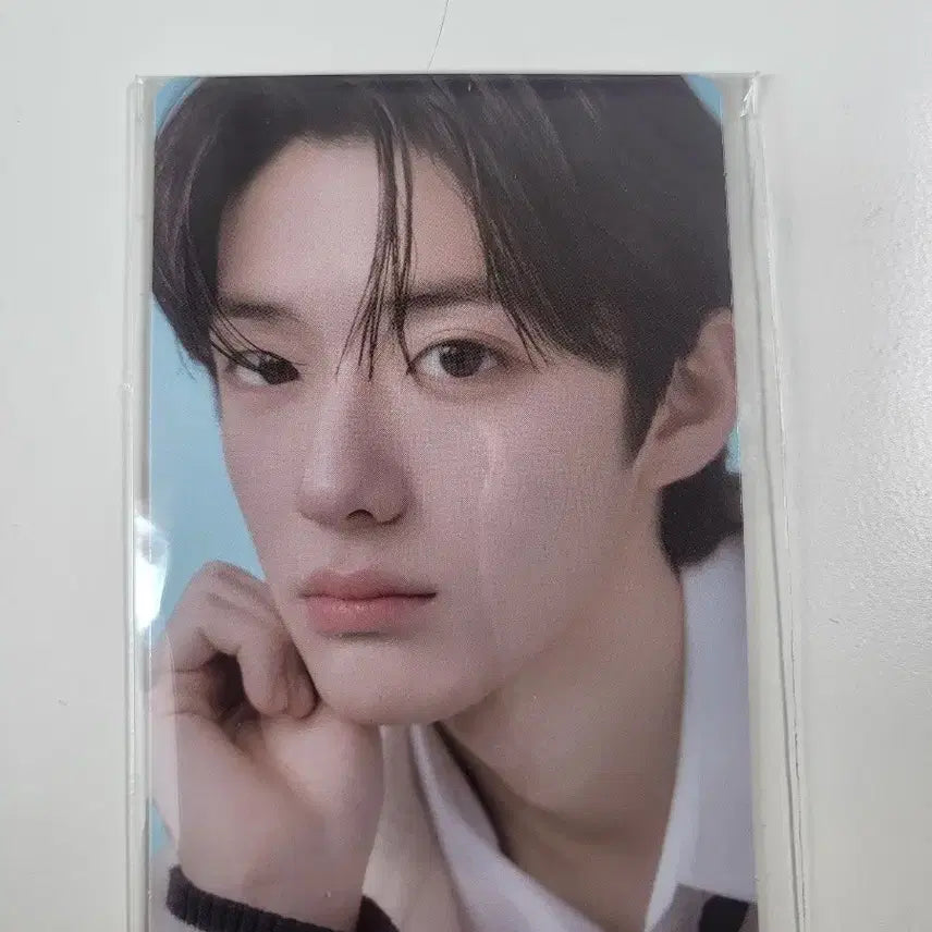 정상현 2주차 포카