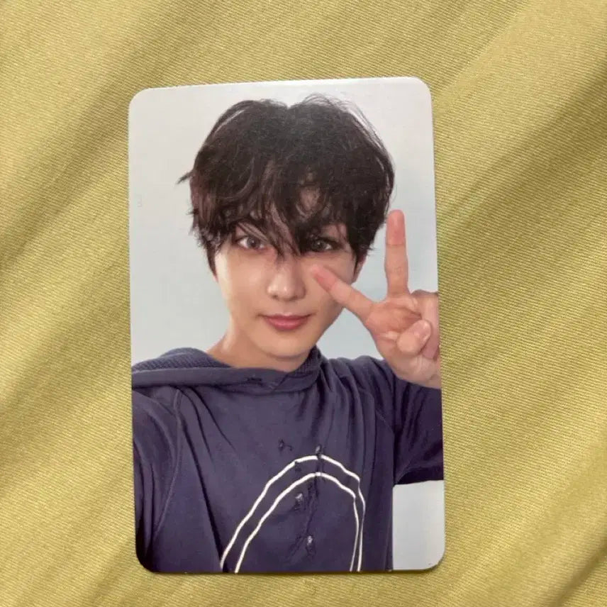 ENHYPEN 양정원 daydream 앨범 포카