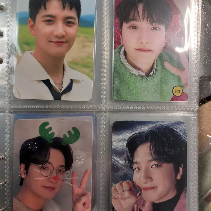 루시 신광일 포카 일괄 양도(디어 앨범 포카 포함)