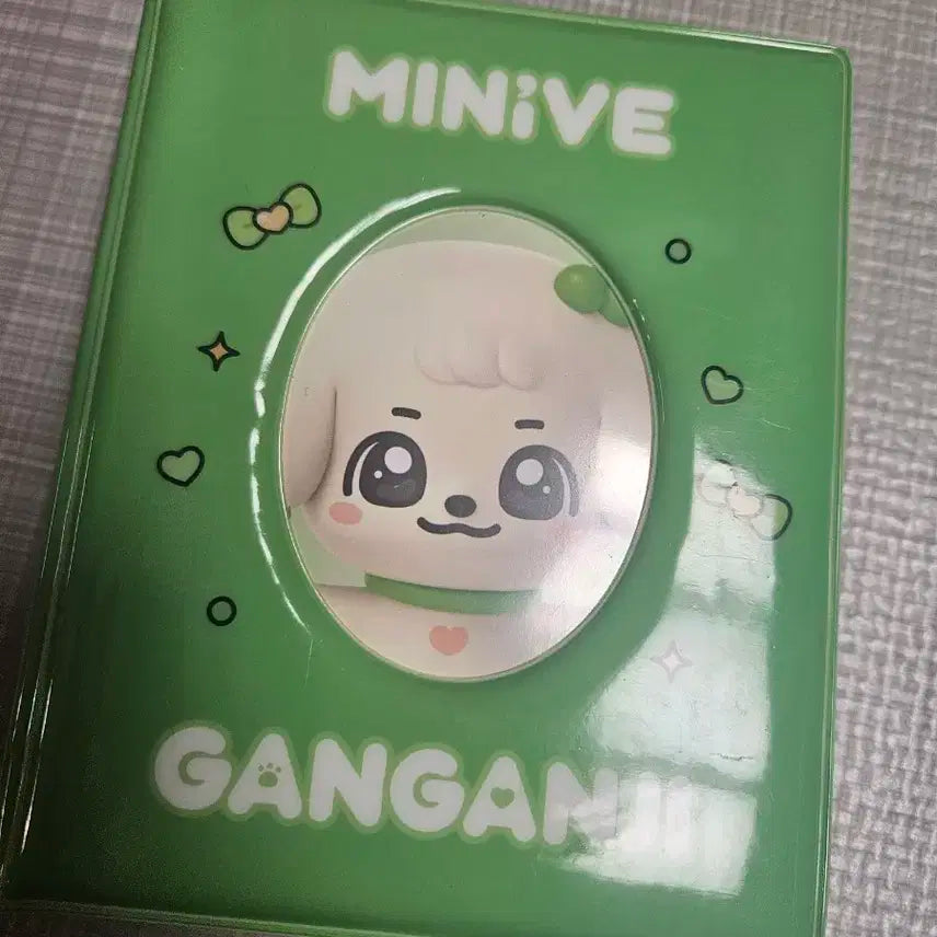 강안지 미니브 포토카드 바인더 유진