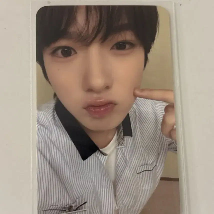 에버위시 사쿠야 미션 포카