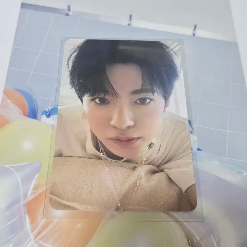 스테디 5만원 이상 구매 특전 포카 유우시